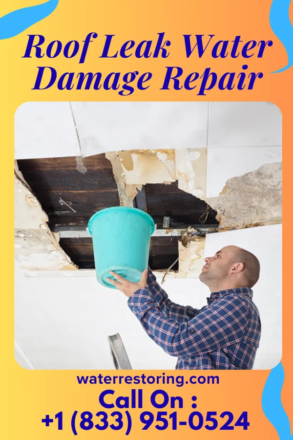 Roof Leak Water Damage Repair in Wilcox, NE