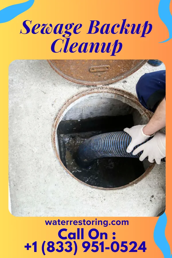 Sewage Backup Cleanup in Wilcox, NE